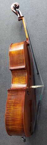 Stentor Cello 4/4, ProSeries handmade Arcadia, schade