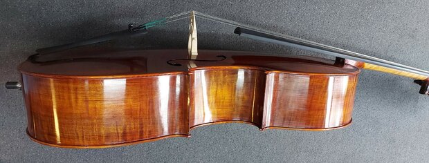 Stentor Cello 4/4, ProSeries handmade Arcadia, schade