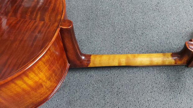 Stentor Cello 4/4, ProSeries handmade Arcadia, schade