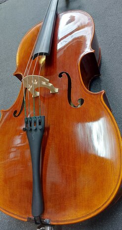 Stentor Cello 4/4, ProSeries handmade Arcadia, schade