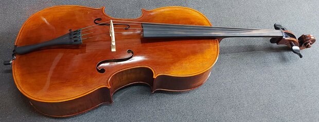 Stentor Cello 4/4, ProSeries handmade Arcadia, schade
