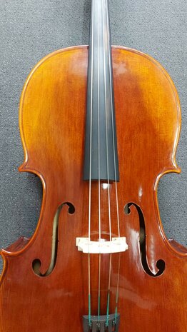 Stentor Cello 4/4, ProSeries handmade Arcadia, schade