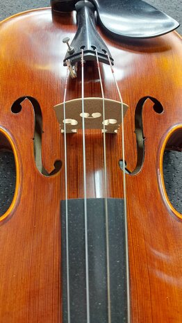 Stentor Messina handgemaakte Altviool, 15,5" 4/4