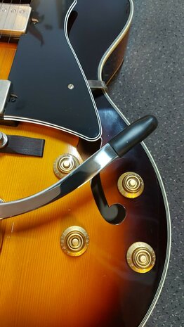 Cort Yorktown BV met Bigsby Vibrato