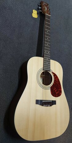 CORT Earth Open Pore startersset met div accessoires waaronder een zwarte gigbag