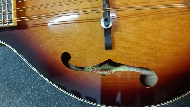 Richwood Master Series mandoline A-style