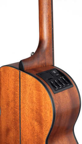 Takamine GLN11ENS Okoume