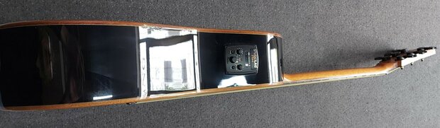 L&acirc;g T100DCE Tramontane dreadnought met element, zwart