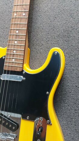 EKO Telecaster model Tribute T300 Butterscotch