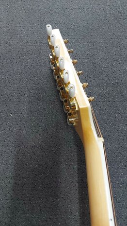 Takamine GJ-72E12 12-snarige electro-akoestische Jumbo gitaar