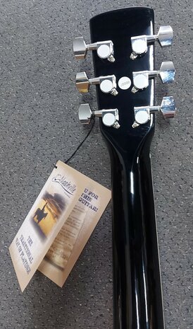 Nashville by Richwood, Dreadnought gitaar, sunburst