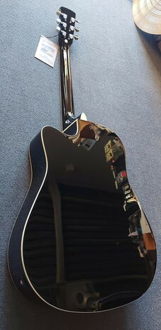 Nashville by Richwood, Dreadnought electro-akoestische gitaar, sunburst met dikke hoes