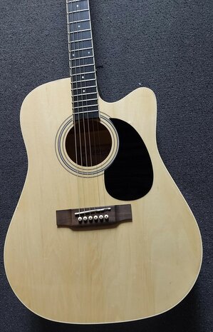 Nashville by Richwood electro-akoestische gitaar met dikke hoes