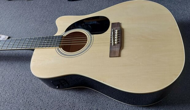 Nashville by Richwood electro-akoestische gitaar met dikke hoes