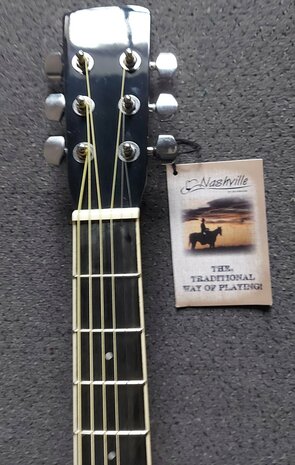 Nashville by Richwood electro-akoestische gitaar met dikke hoes