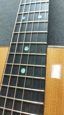 Kremona steelstring gitaar R 30 dreadnought