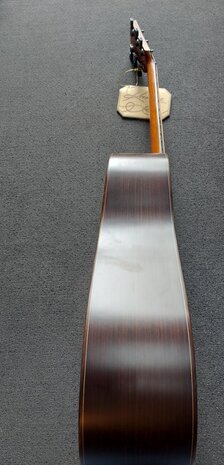 Kremona steelstring gitaar R 30 dreadnought