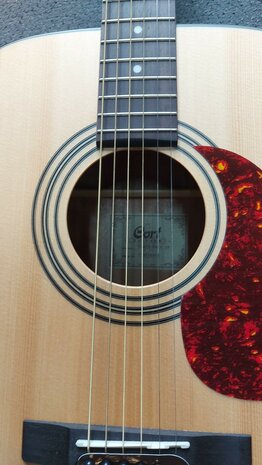 CORT Earth Open Pore startersset met div accessoires waaronder een zwarte gigbag