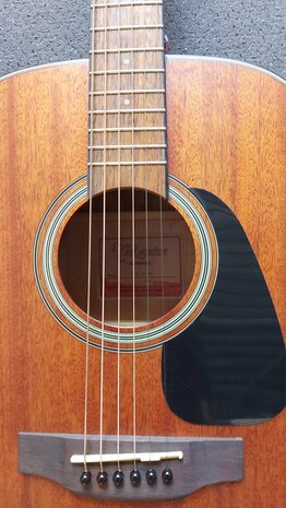 Takamine GLN11ENS Okoume, nu met gevoerde hoes