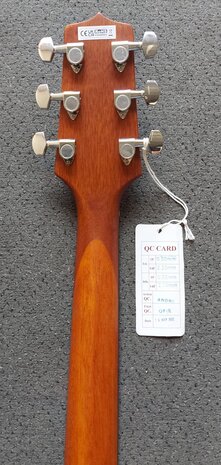Takamine GLN11ENS Okoume, nu met gevoerde hoes