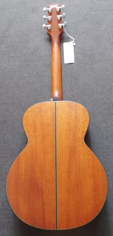 Takamine GLN11ENS Okoume, nu met gevoerde hoes