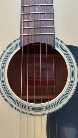 Takamine GLD12ENS electro-ak dreadnought, nu met gevoerde hoes