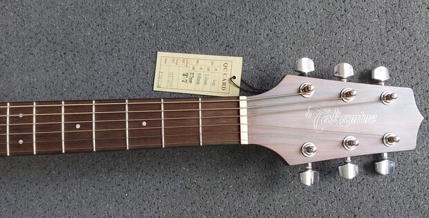 Takamine GD10CENS Dreadnought gitaar met cutaway en element