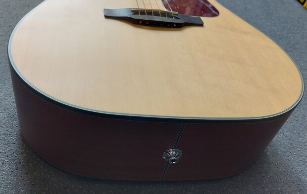 Takamine GD10CENS Dreadnought gitaar met cutaway en element