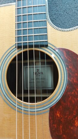 Sigma DTC-28HE+ dreadnought, nu met koffer