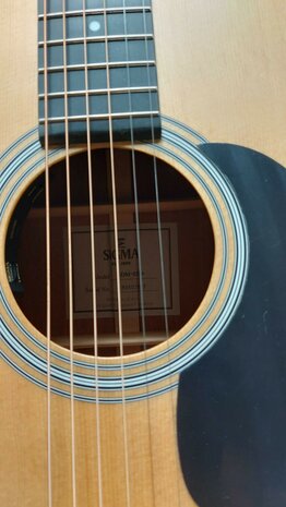 Sigma SDM-STE+ Dreadnought electro-akoestisch, nu met tweed koffer