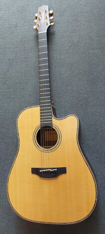 Takamine TN18C - Dreadnought Cutaway Electro