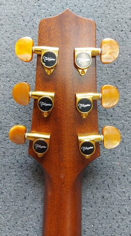 Takamine TN18C - Dreadnought Cutaway Electro