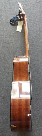 Takamine GD30CENAT electro-akoestische Dreadnought met cutaway