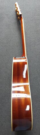 Takamine Pro Series P4DC met koffer, Japan
