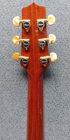 Takamine Pro Series P4DC met koffer, Japan