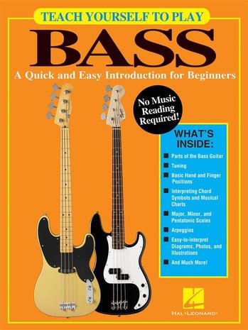 Teach Yourself to play Bass