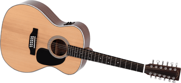 Nathaniel Ward bizon Weggelaten Sigma JM12-1STE+ 12-snarige gitaar, electro-akoestisch - Muziekinstrumenten  online winkel | Instruments Online webshop