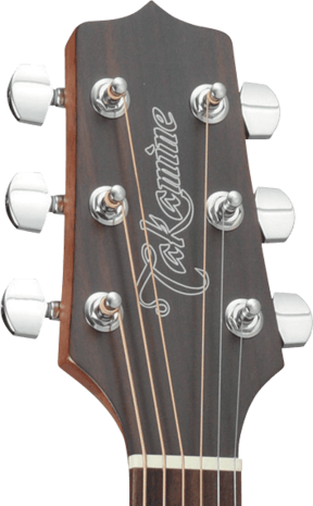Takamine GD10CENS Dreadnought gitaar met cutaway en element