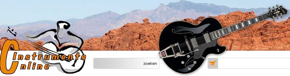 Systematisch belediging Verzadigen Muziekinstrumenten Gitaren Hoorn - Instruments Online