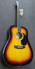 Nashville-by-Richwood-Dreadnought-gitaar-sunburst