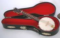 Miniatuur-Banjo-met-koffer-14-cm