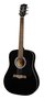 Richwood-Gitaar-RD-08-Dreadnought-zwart