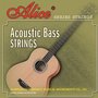 Complete-set-snaren-voor-(semi)akoestische-bas