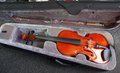 Altviool-Bratsche-Viola-16-inch-body-Gold-compleet-met-koffer-strijkstok-hars