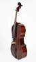 Leonardo-geheel-massieve-cello-set-4-4-nitro