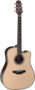 Takamine-TN18C-Dreadnought-Cutaway-Electro