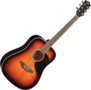 EKO-Ranger-6-Dreadnought-sunburst-staalsnarig