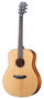 Breedlove-Premier-Series-dreadnought-met-luxe-koffer