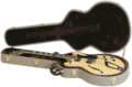Hagstrom-Vormkoffer-voor-Hollowbody-oa-HJ-modellen
