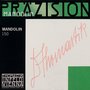 Thomastik-Präzision-2x-E-string-011-for-Mandoline-Steel